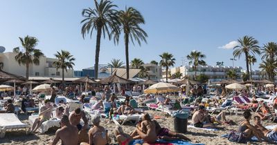 Dengue fever alert for Brits off on holiday to Ibiza this year