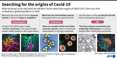 WHO urges countries to come clean on Covid origins intel