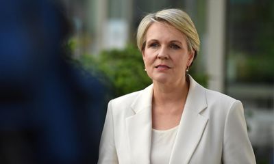 Tanya Plibersek urges assault survivors to reach out for help after her daughter reveals own story