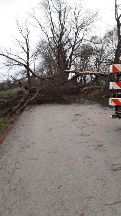 High winds cause fatalities and damage and knock out power across the Commonwealth