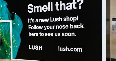 Bristol's Lush is relocating after Boux Avenue closes down permanently