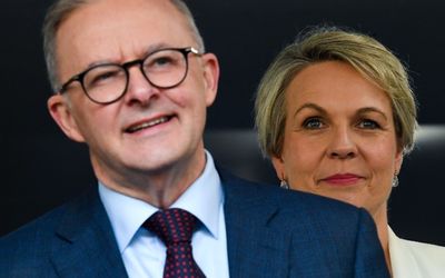 ‘I would have won’: Devastating reason Tanya Plibersek abandoned leadership plans