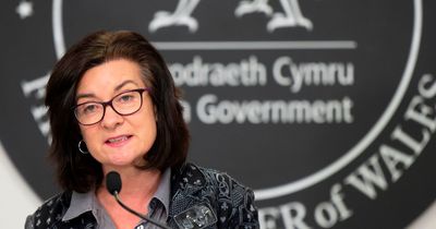 Plaid Cymru calls for Wales' health minister Eluned Morgan to be sacked