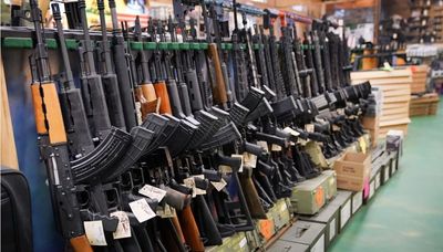 Taking aim at gun safety in Illinois invites tragedy