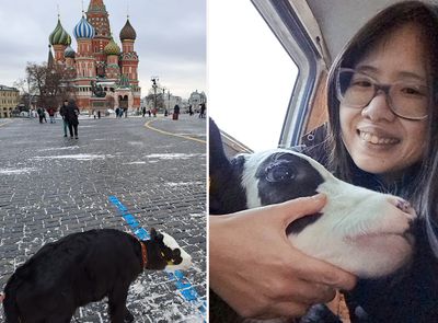 An American walked her pet cow in Moscow's Red Square. Spoiler alert: Trouble ensued