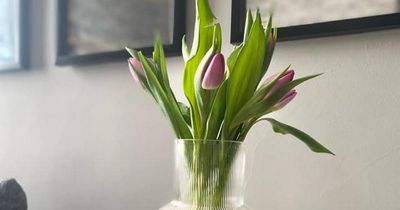 Home Bargains shoppers obsessed with ‘gorgeous’ vase that’s £20 cheaper than H&M