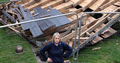 Gateshead gardener's fury as garage roof plants itself in her flower beds