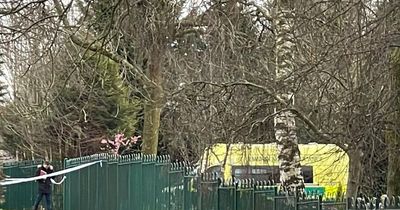 Man, 37, found dead inside car as police cordon off area near cemetery