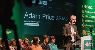 Adam Price blames the media for Plaid's failure to make gains under his leadership