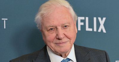 Attenborough has filmed new TV series 'likely to be his last' as star shares regret