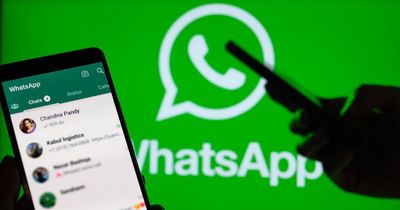 WhatsApp could let you edit text messages after you've sent them - here's how it works