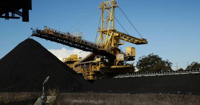 Coal prices plummet 60 per cent and volumes down 25 per cent from peak