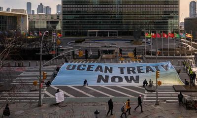 High seas treaty: historic deal to protect international waters finally reached at UN