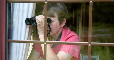 'Nosy neighbour won't stop peering into my window - my sign should stop them'