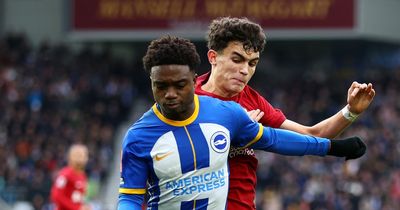 Leeds United news as Roberto De Zerbi issues Tariq Lamptey update ahead of Whites clash