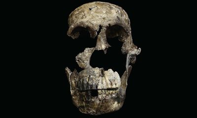 New analysis of ancient human protein could unlock secrets of evolution