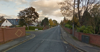 Nottinghamshire Police find over 200 cannabis plants after stopping van