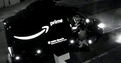 Couple spot Amazon driver appearing to urinate at the end of their driveway