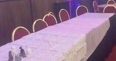 Bride left heartbroken after less than half of confirmed guests show up to wedding reception
