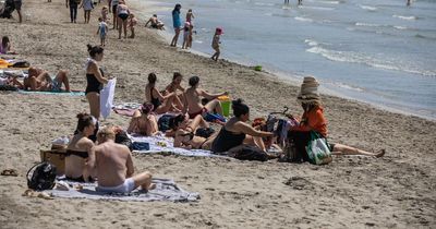 Spain issue warning for UK holidaymakers this summer due to dengue fever outbreak