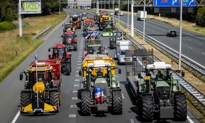 The Guardian view on Dutch farmer protests: a European test case