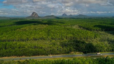 New views of Glass House Mountains to be revealed as timber for new homes is harvested