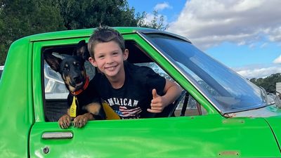 Eight-year-old Tommy Lee trains and sells working dog to fund Holden ute restoration
