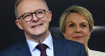 On Tanya Plibersek’s reticent ambition and why Albanese’s team is confused by it
