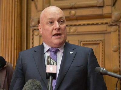 New Zealand opposition pledges big childcare spend-up
