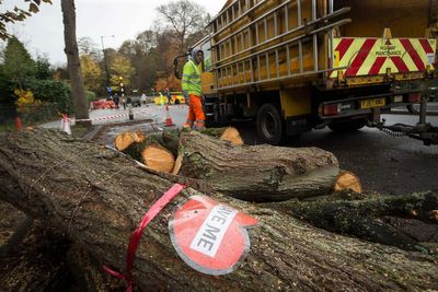‘Truth and reconciliation’ report into Sheffield’s trees saga to be published