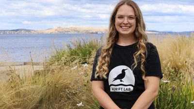 Adrift Lab classifies new disease caused by plastic ingestion by Lord Howe Island seabirds