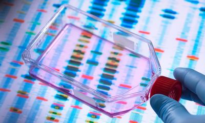 Forthcoming genetic therapies raise serious ethical questions, experts warn