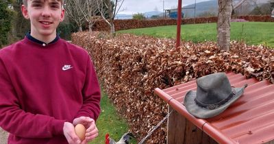 Teen chicken farmer flabbergasted as hen lays Ireland's largest egg - 'I've never seen one so big'