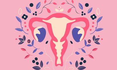 Womb: The Inside Story of Where We All Began by Leah Hazard review – the body’s misunderstood marvel