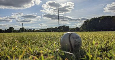 Minor hurling match in Dublin abandoned after alleged assault on umpire