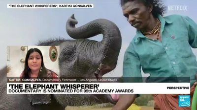 'The Elephant Whisperers': Short film depicts bond between couple and orphaned elephant