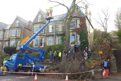 Council’s actions in trees saga were ‘serious and sustained’ leadership failure