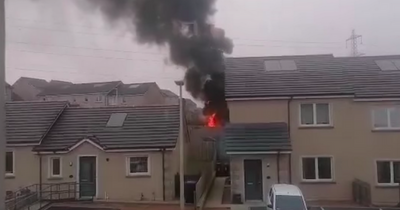 Gas cylinder explodes in Scots garden shed as blast sends debris 'flying' across street