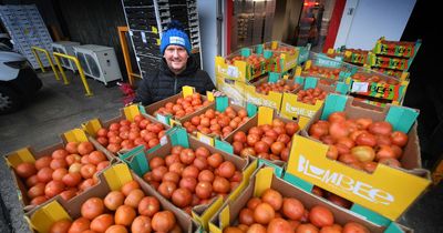Veg supplier explains WHY supermarkets don't have tomatoes but your greengrocer does
