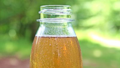 Kombucha fan? You can brew it at home from scratch