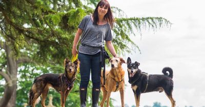 Bristol pet shop announces closure with heartfelt plea from owner to support local