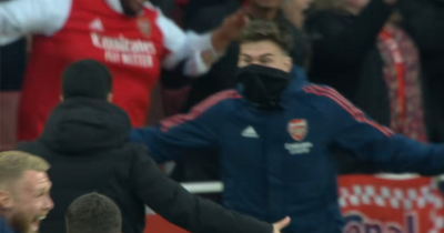 Arsenal supporters notice the first player Mikel Arteta celebrated with after Reiss Nelson goal