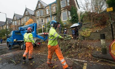 Sheffield city council behaved dishonestly in street trees row, inquiry finds