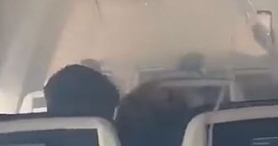 Southwest plane fills with smoke after aircraft strikes bird and engine catches fire