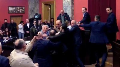 Georgian parliament descends into punch-up over 'Russian-inspired' foreign agent law