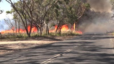 Tambaroora fire in NSW central west upgraded to emergency alert as winds and temperatures increase