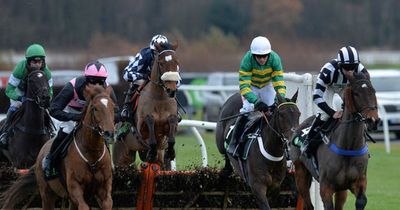 Newsboy's horse racing selections for Tuesday's four cards, including Newcastle Nap