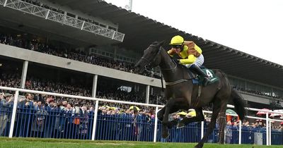 Top ten most popular horses revealed by bookies ahead of Cheltenham Festival