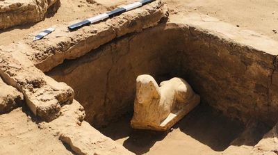 Smiley, Dimpled Sphinx Statue Unearthed in Egypt