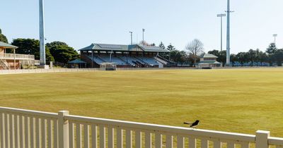 How $15 million from the state government could bring top-class cricket back to Newcastle